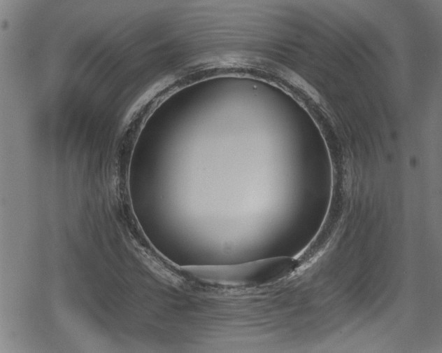 X0000078860922200611131159