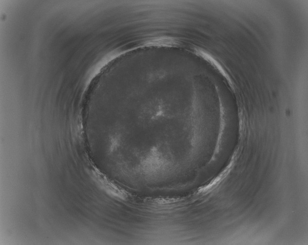 X0000078860923200611131159