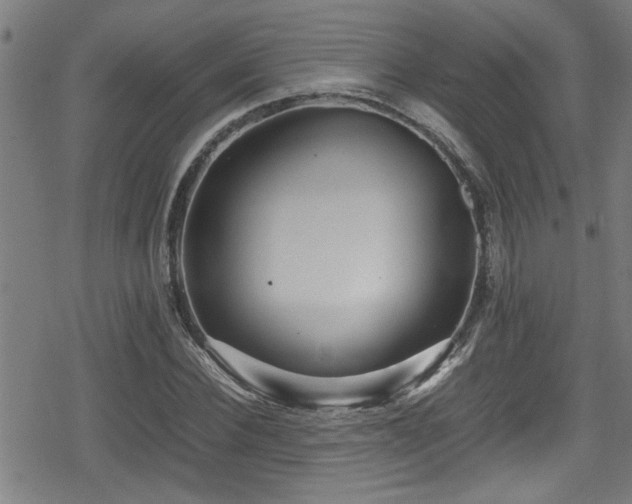 X0000078860924200611131159