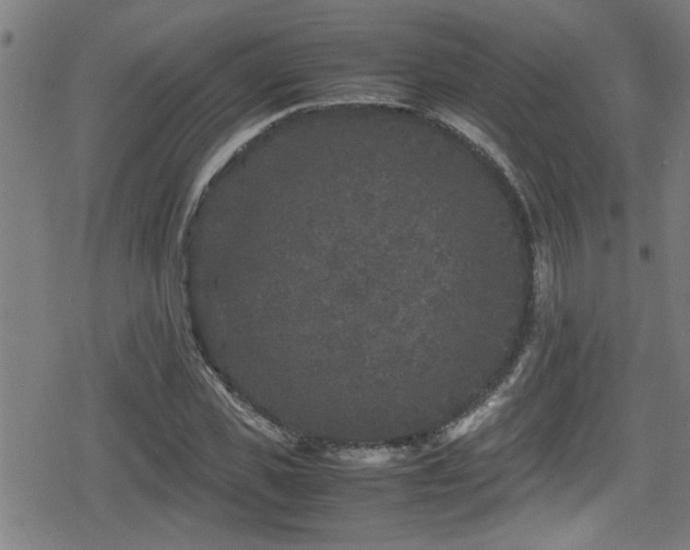 X0000078860925200611131159