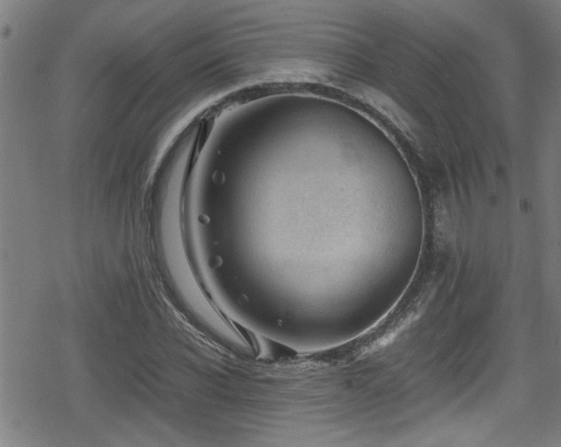 X0000078860926200611131159