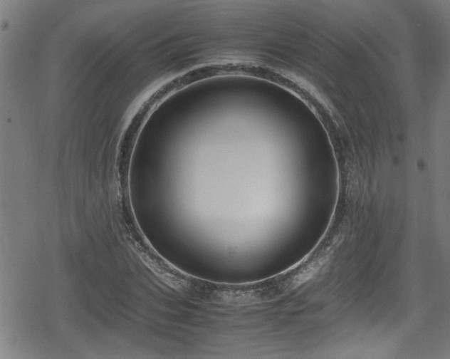 X0000078860927200611131159