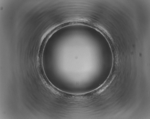 X0000078860928200611131159