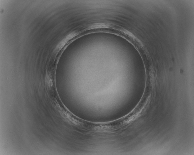 X0000078860929200611131159