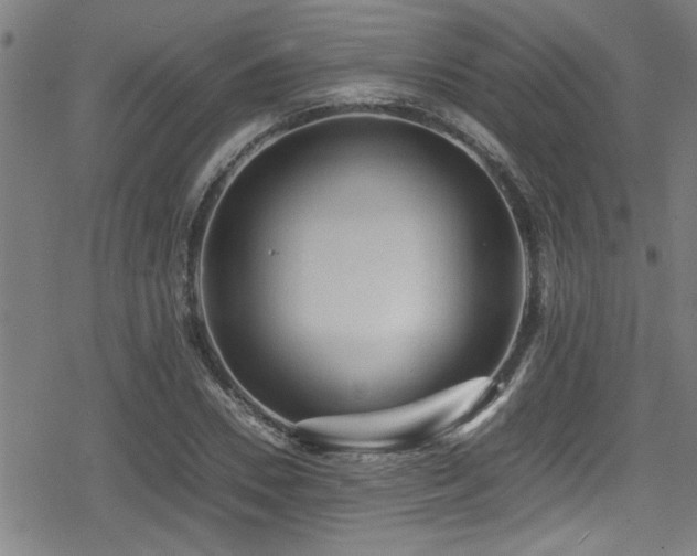 X0000078860930200611131159