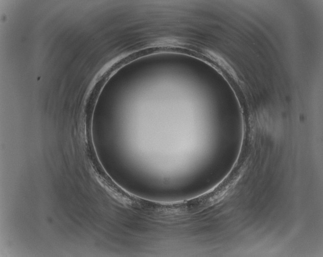 X0000078860931200611131159