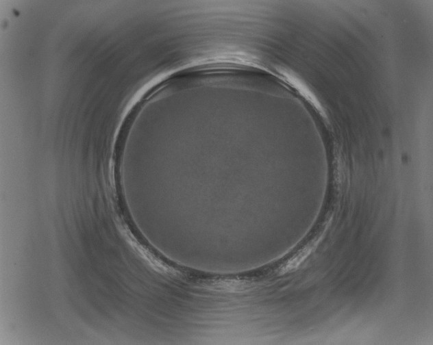 X0000078860932200611131159