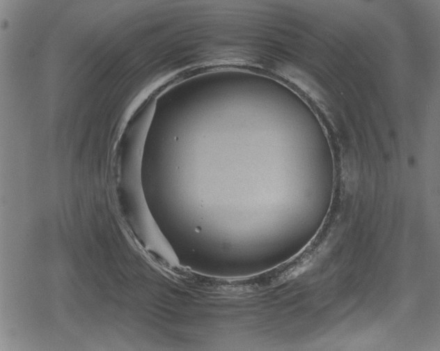 X0000078860933200611131159