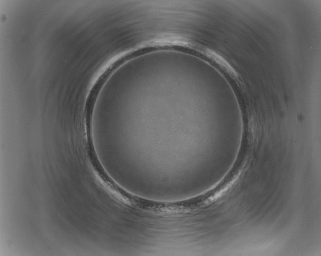 X0000078860934200611131159