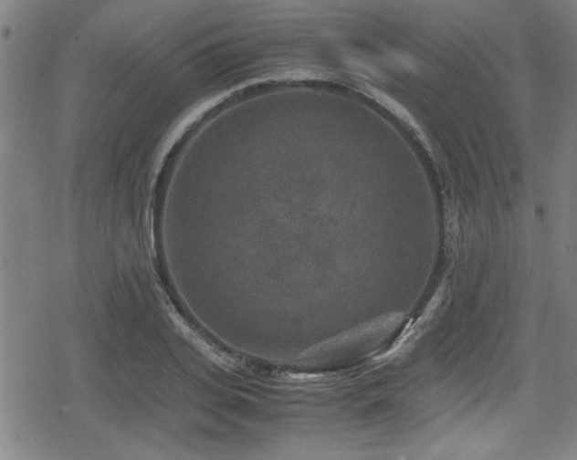 X0000078860935200611131159