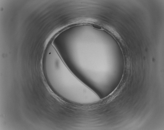 X0000078860936200611131159