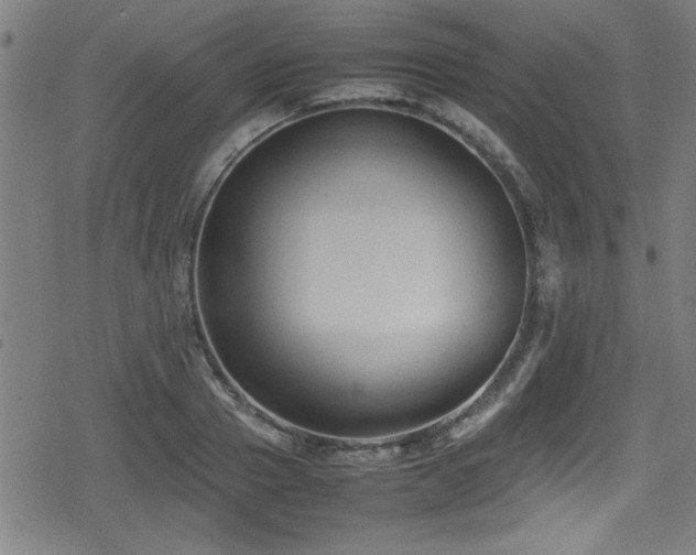 X0000078860937200611131159