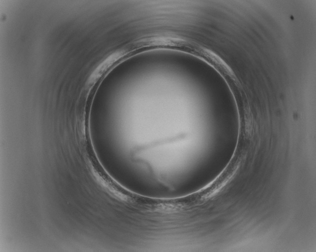 X0000078860938200611131159