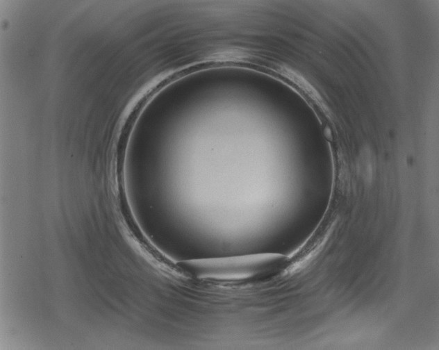 X0000078860939200611131159