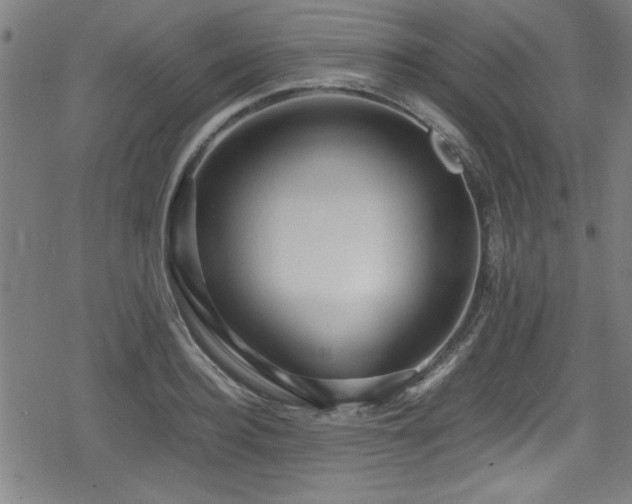 X0000078860940200611131159