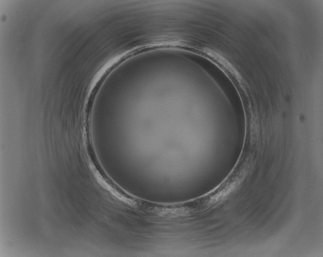 X0000078860941200611131159