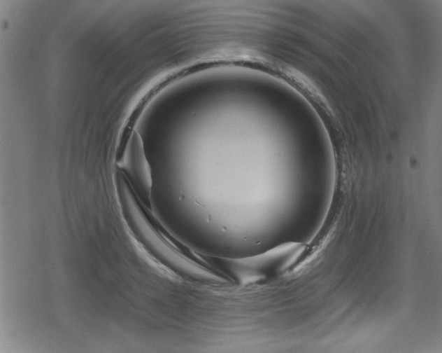 X0000078860942200611131159