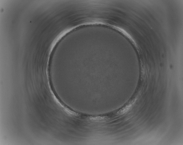 X0000078860943200611131159