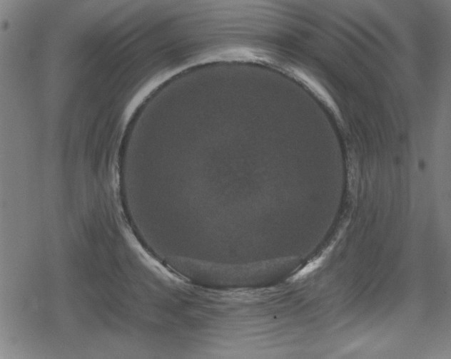 X0000078860944200611131159