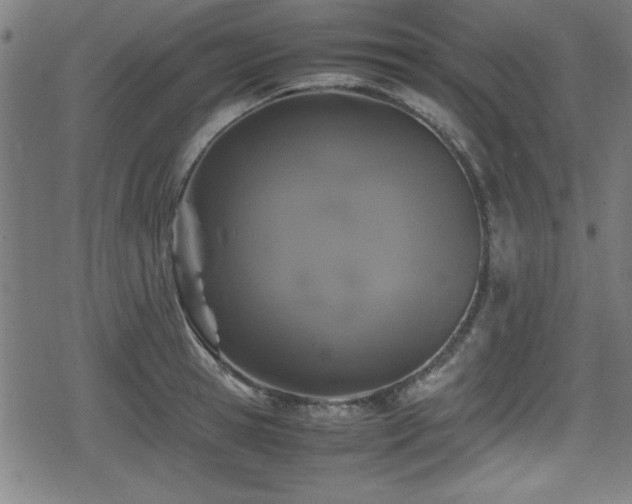 X0000078860945200611131159