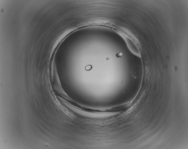 X0000078860948200611131159