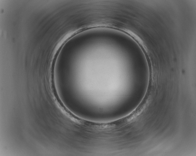 X0000078860949200611131159