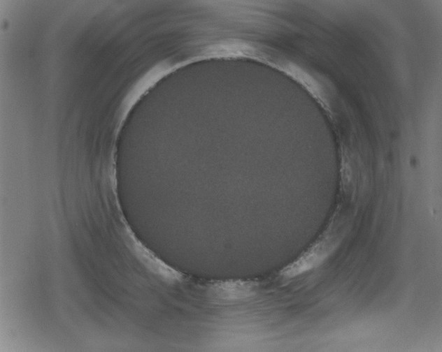 X0000078860950200611131159