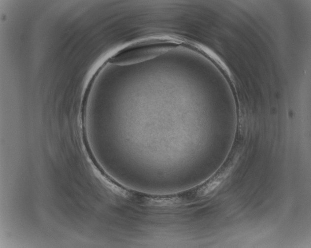 X0000078860951200611131159