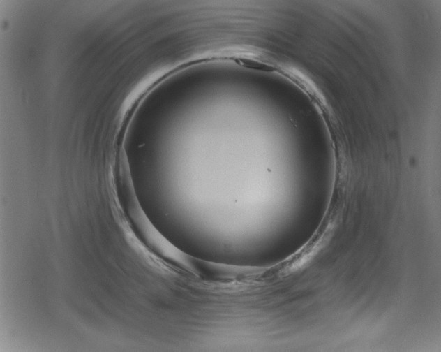 X0000078860952200611131159