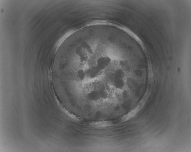 X0000078860953200611131159