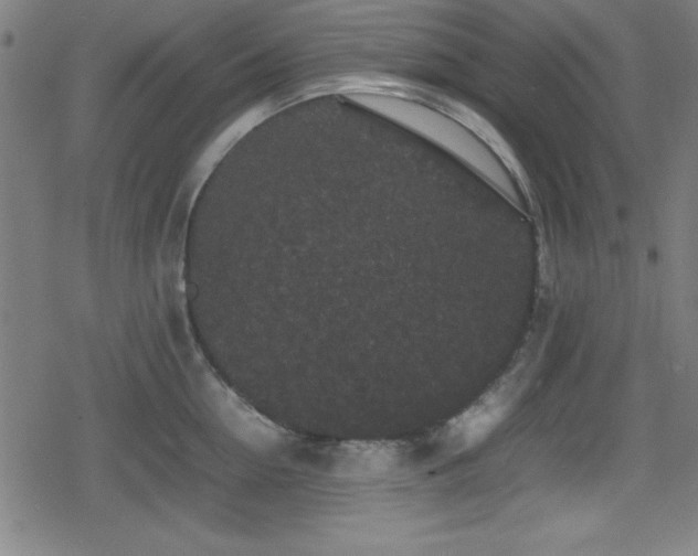 X0000078860954200611131159