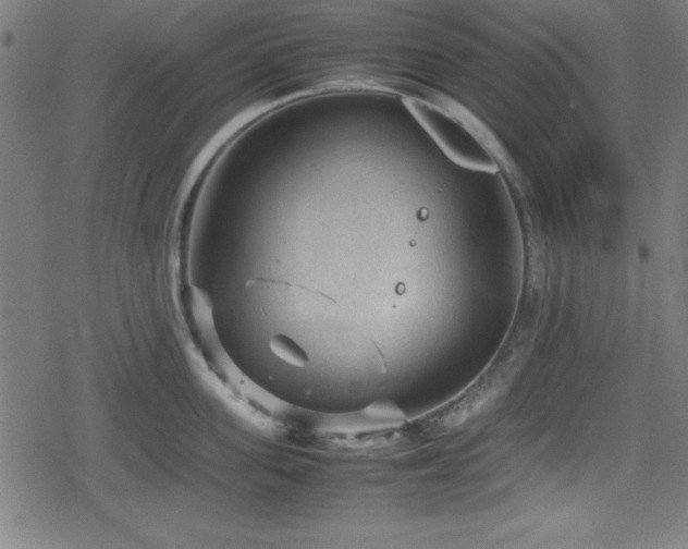 X0000078860955200611131200