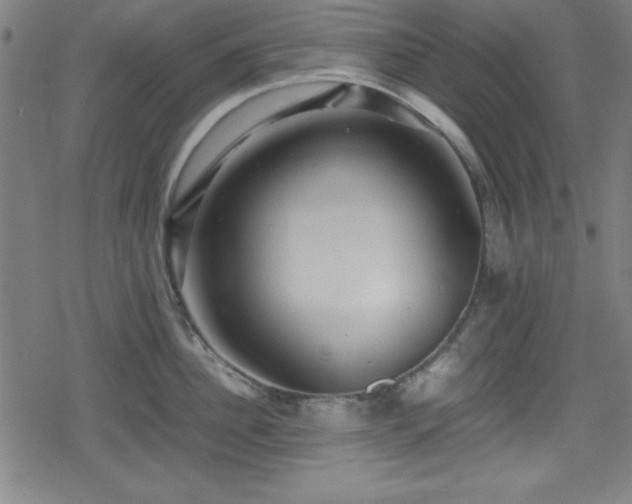 X0000078860956200611131200