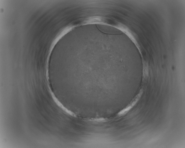 X0000078860957200611131200