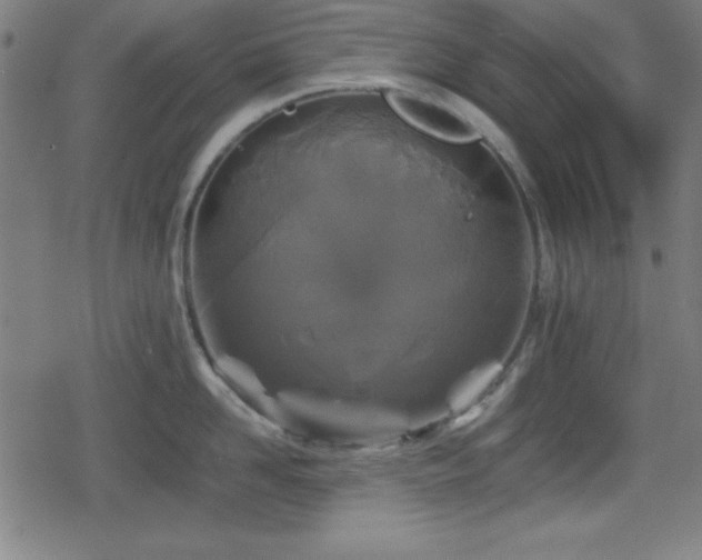 X0000078860958200611131200