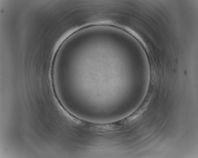 X0000078860959200611131200