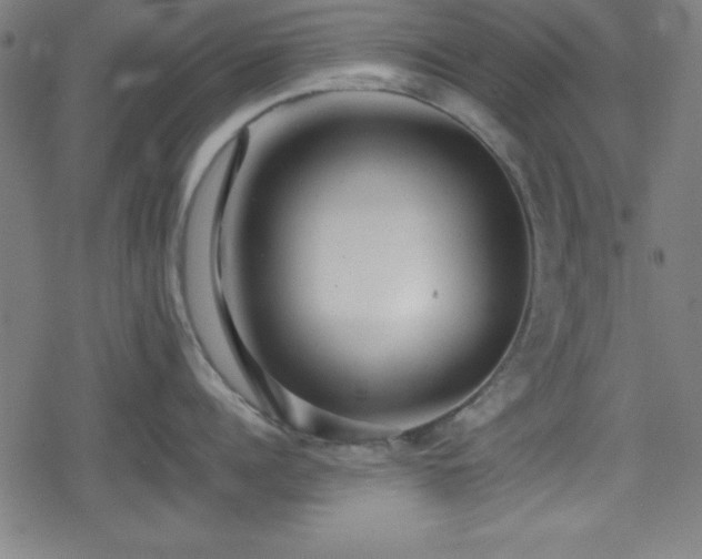 X0000078860960200611131200