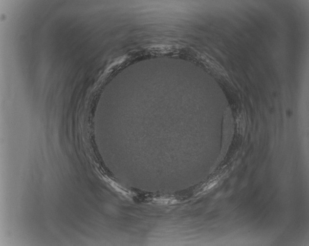 X0000078860961200611131159