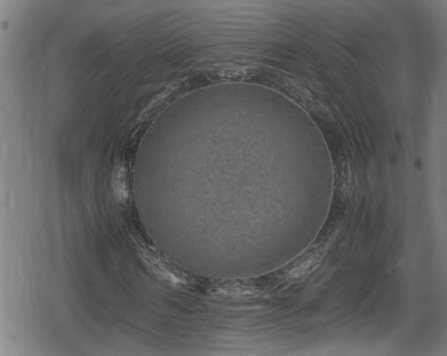 X0000078860962200611131159