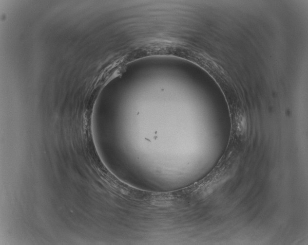 X0000078860964200611131159