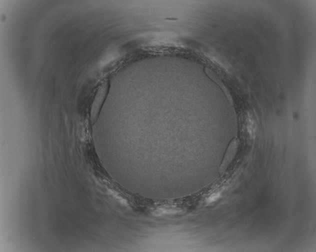 X0000078860965200611131159