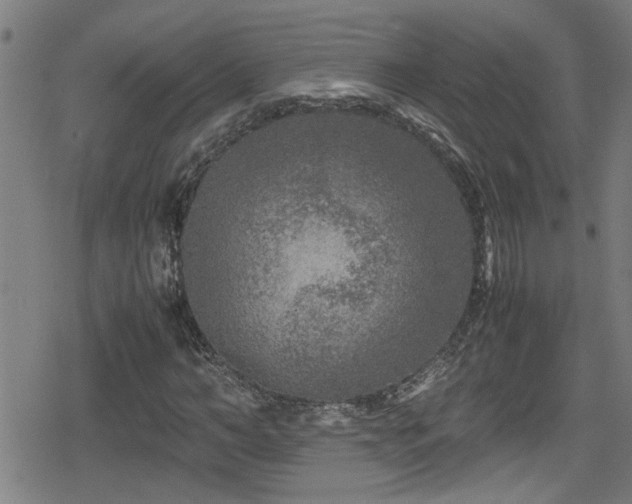 X0000078860966200611131159