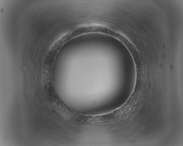 X0000078860967200611131159