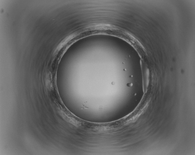 X0000078860970200611131159