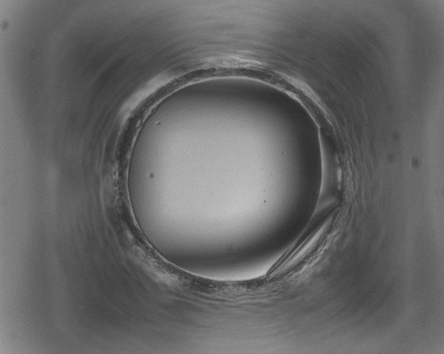 X0000078860971200611131159