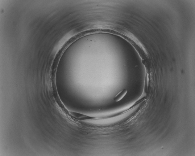 X0000078860972200611131159