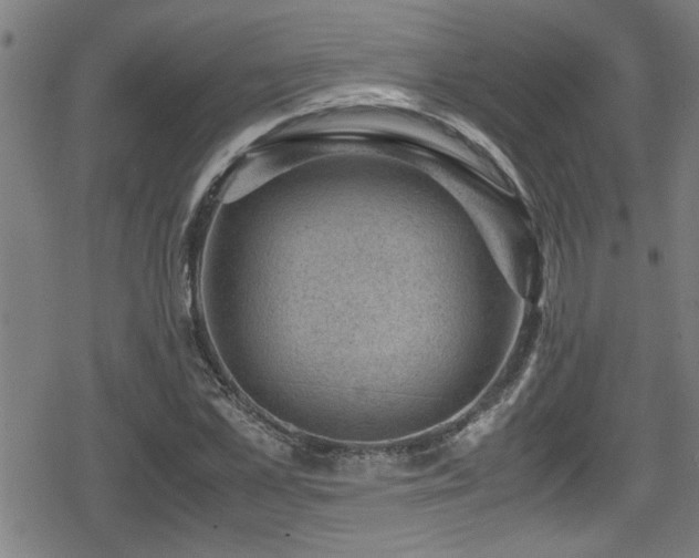 X0000078860973200611131159