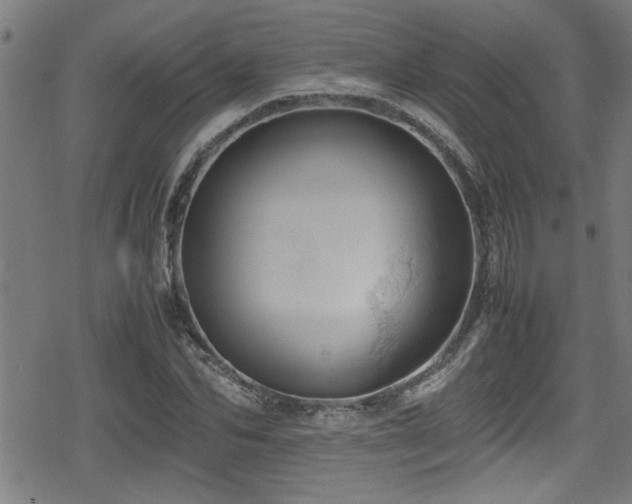 X0000078860974200611131159