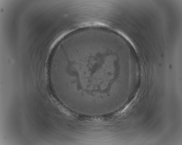 X0000078860975200611131159