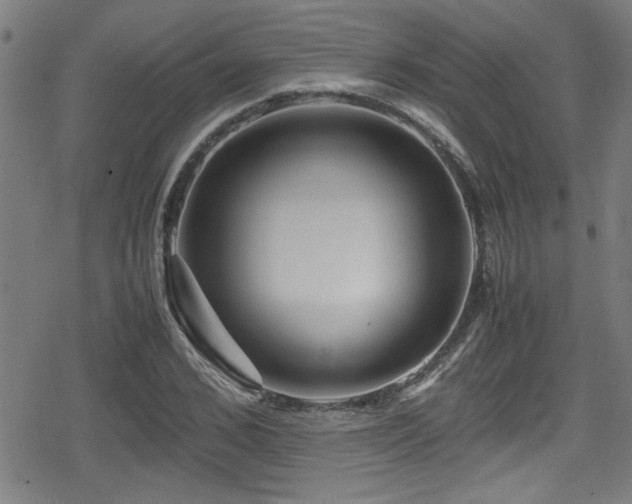 X0000078860976200611131159